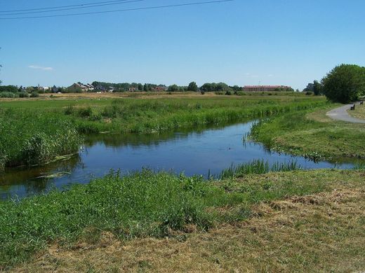 Skrzyżowanie rzek Wełny i Nielby w Wągrowcu